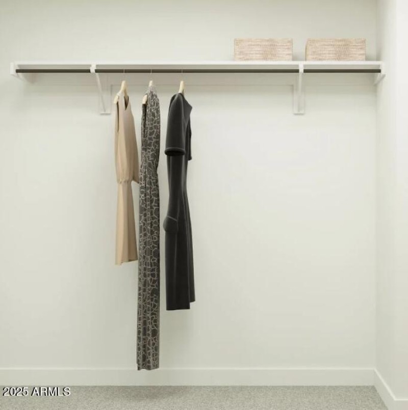 Owners Walk in Closet