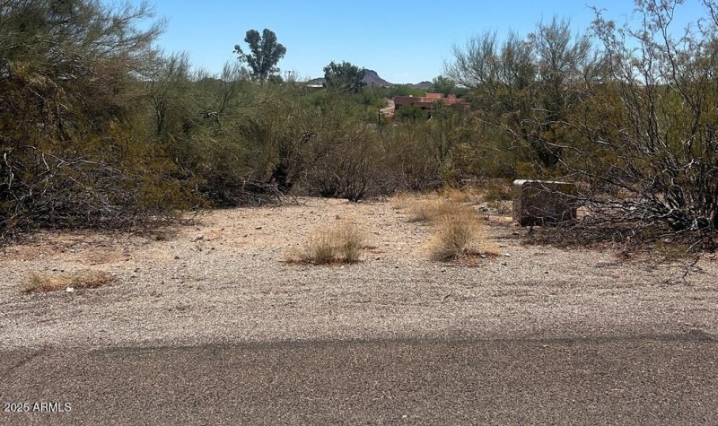 Thrasher Lot 47 picture