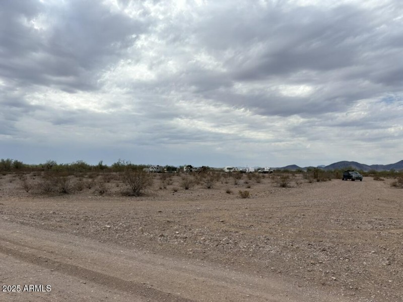 475-DBD08EB2A034_1_105_c