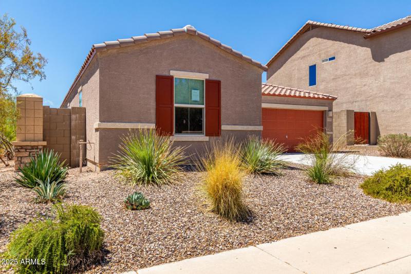 03 - El Buho Pequeno