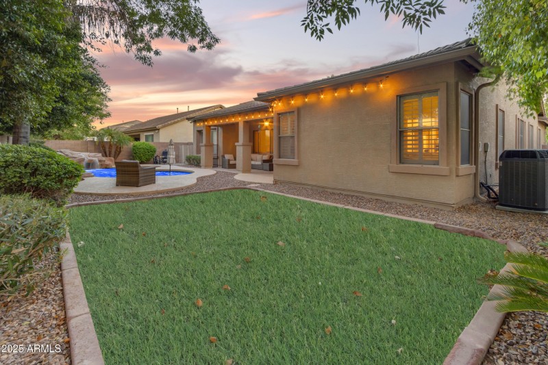 Twilight Backyard