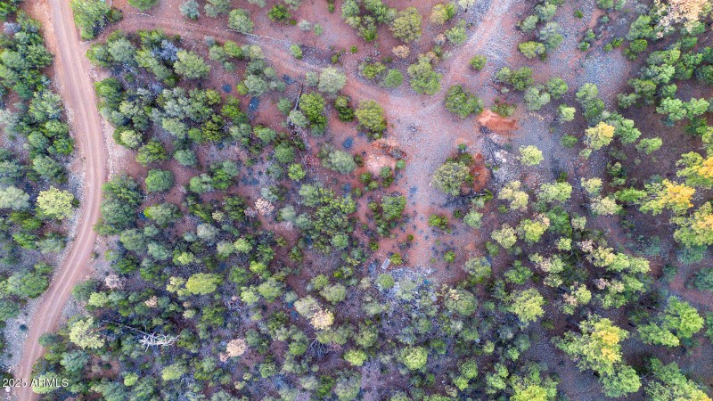 photo(10) 2333 Elk Ridge LN OG Brooke 07