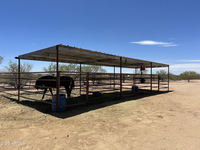 1st shed/corral
