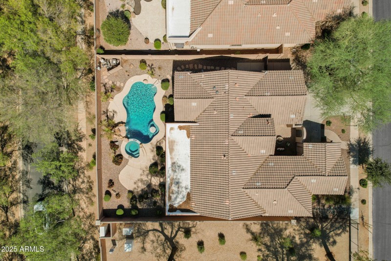 Birds Eye View
