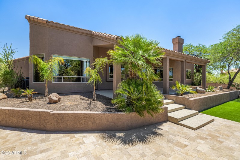 Backyard Palm Appeal