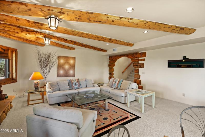 Basement Living Area 2