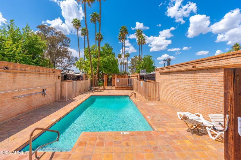 large-019602df-5126-7289-9e6a-b07666ec0c