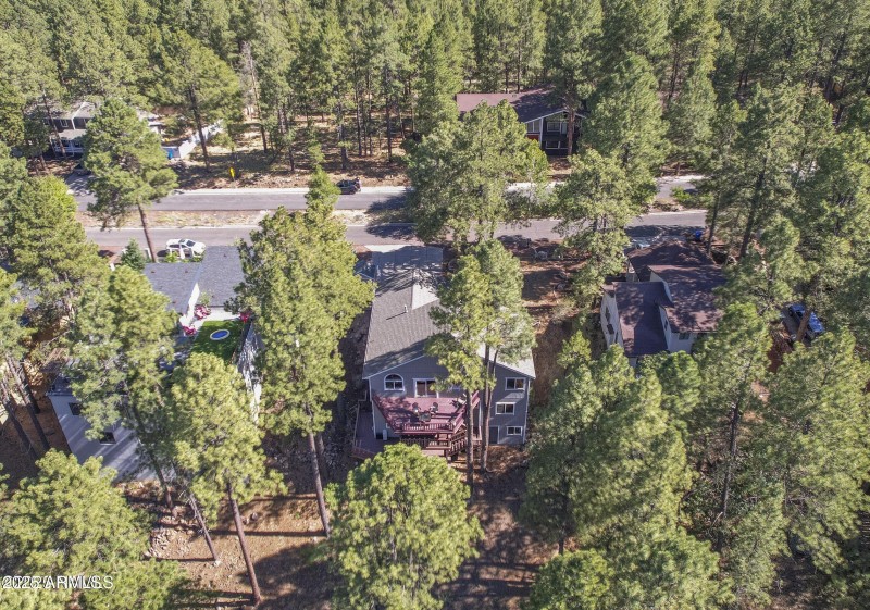 Birds Eye View
