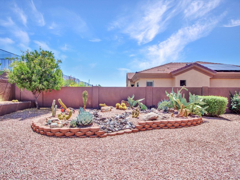 22-Cactus-garden