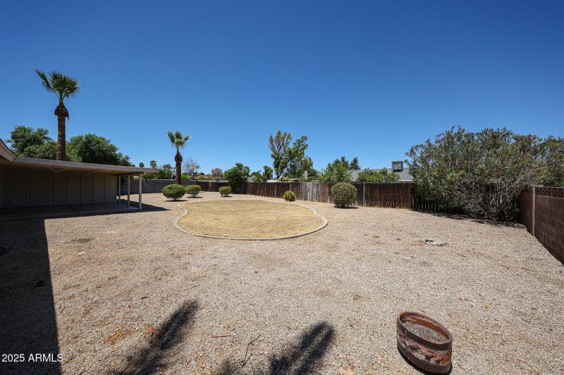 Back Yard