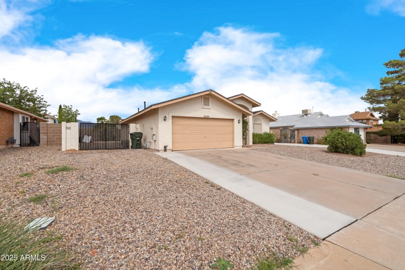 Front Yard 37