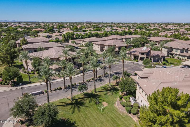 9-web-or-mls-Gilbert-9