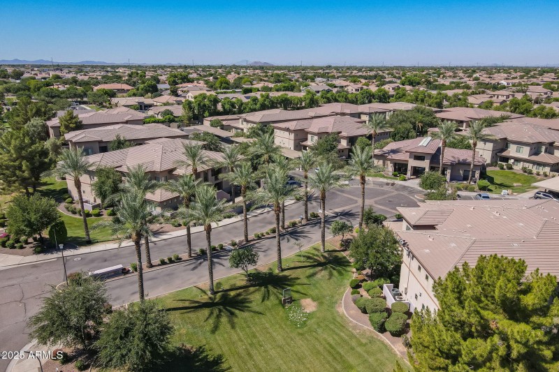 9-web-or-mls-Gilbert-9