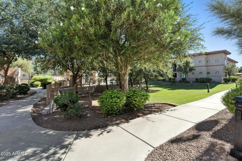 24-web-or-mls-Gilbert-24