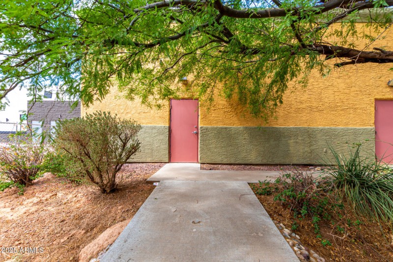 56-Cottonwood