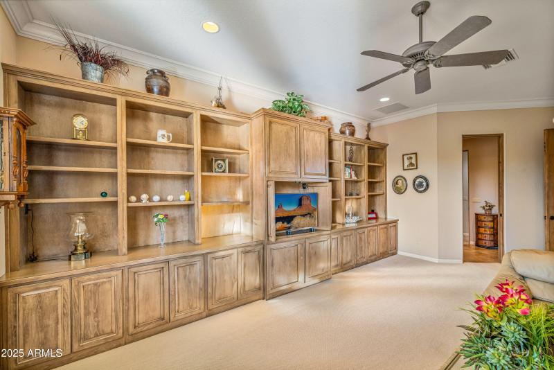 Bookcase and TV wall