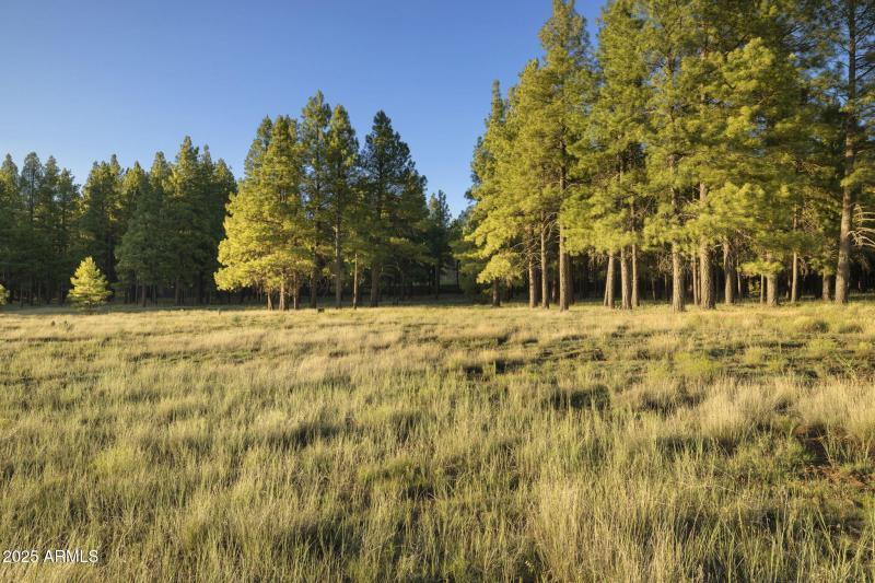 27-web-or-mls-FA9A5441