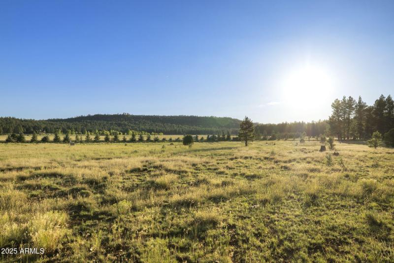 26-web-or-mls-FA9A5436