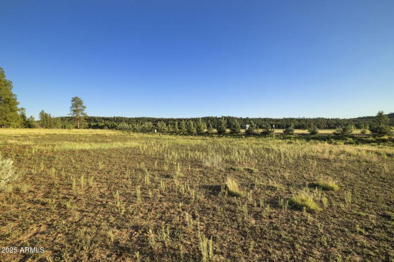 18-web-or-mls-FA9A5396