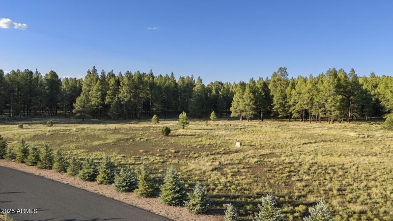 3-web-or-mls-DJI_20250723182744_0357_D