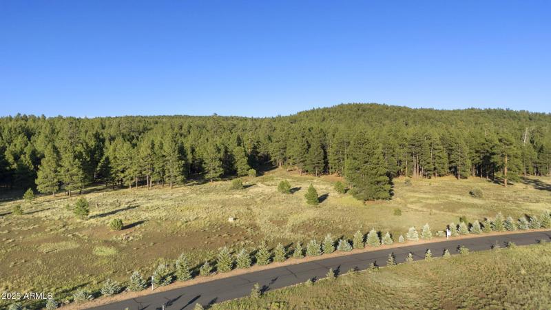 2-web-or-mls-DJI_20250723182722_0352_D