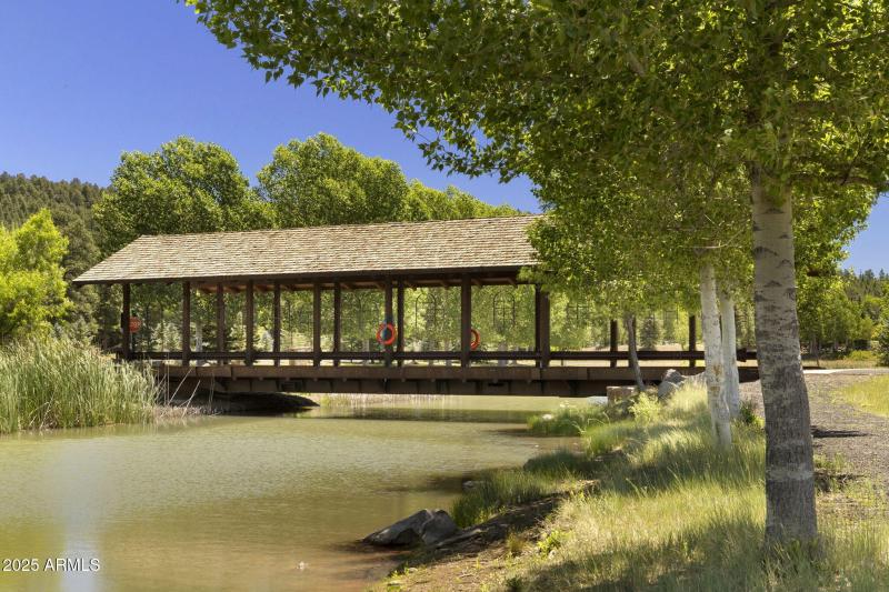 13-web-or-mls-FA9A8897