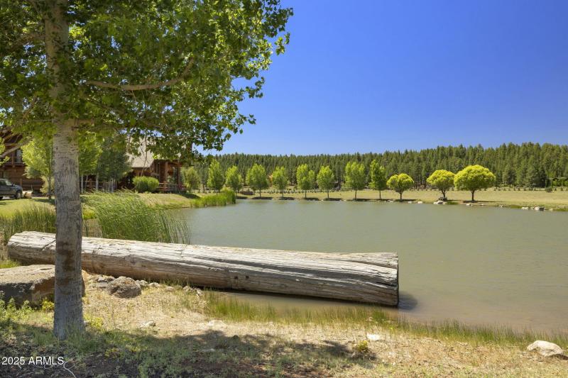 8-web-or-mls-FA9A8873