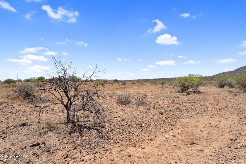 1-web-or-mls-DSC05920