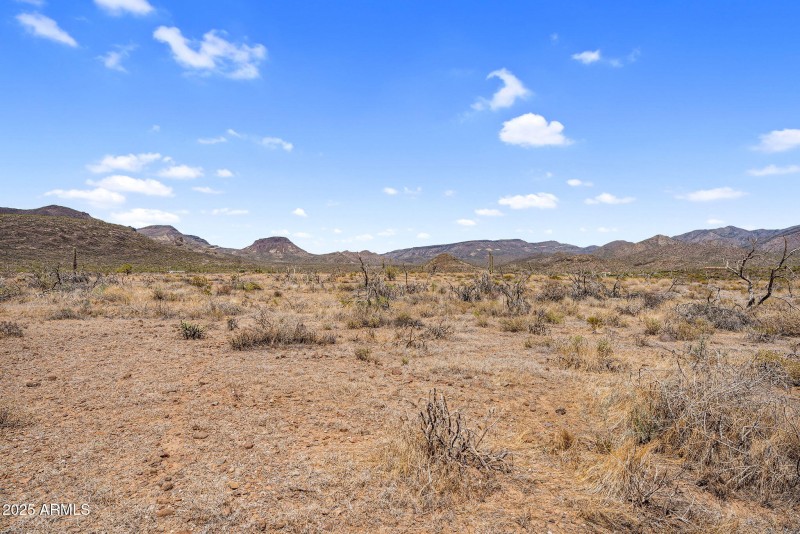 2-web-or-mls-DSC05923