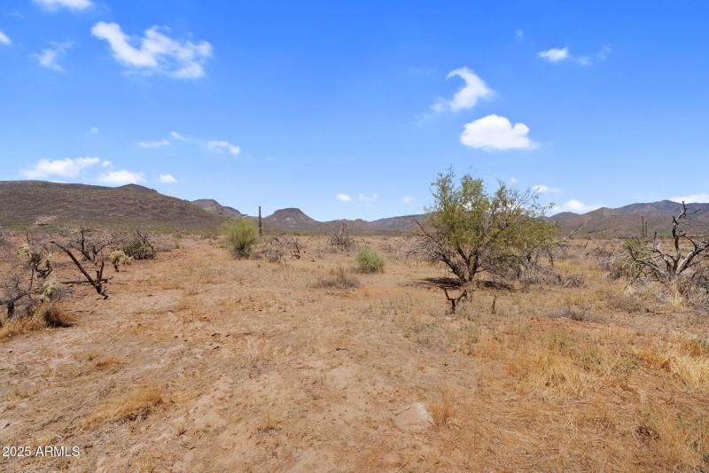 7-web-or-mls-DSC05938