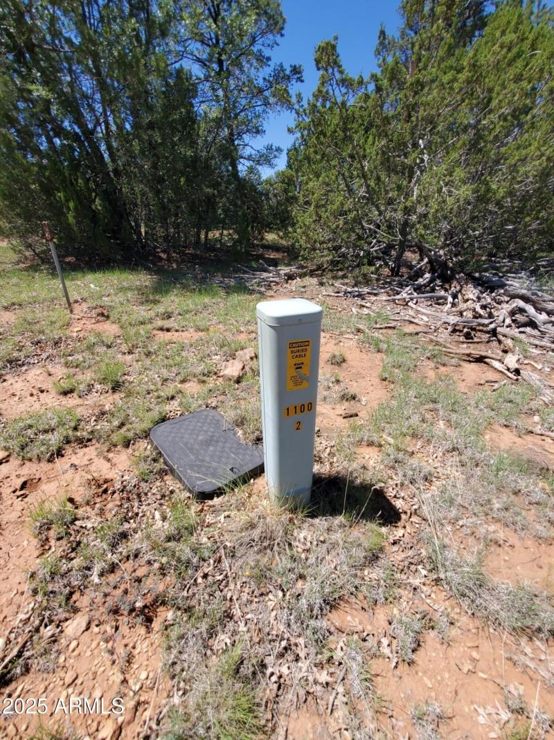 3-20250730_105747_resized