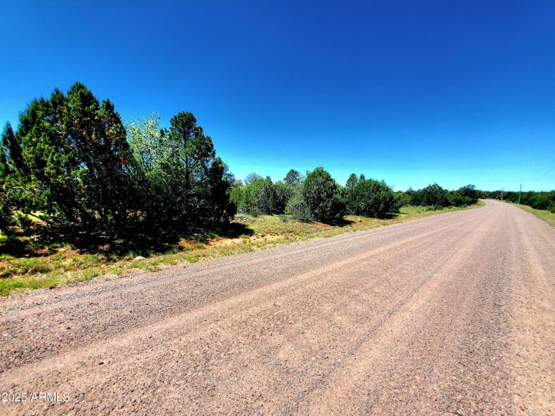 20250730_110615_resized