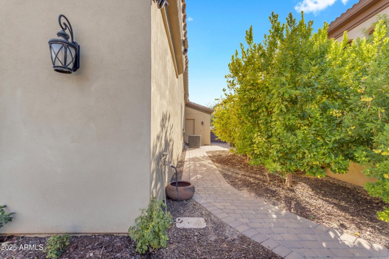 side yard