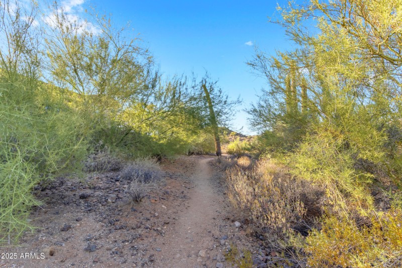 trail