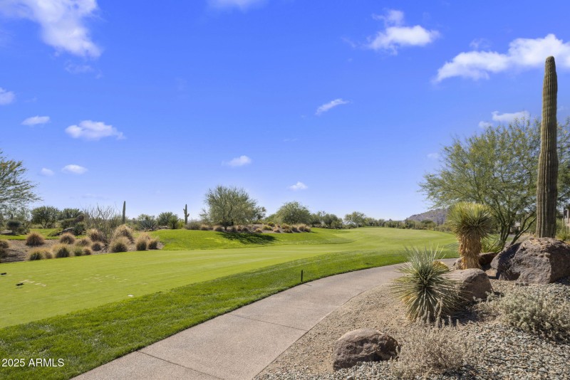 40-web-or-mls-IMG_7030