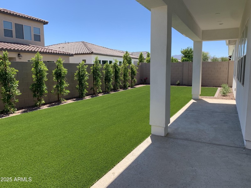 Back Patio 2