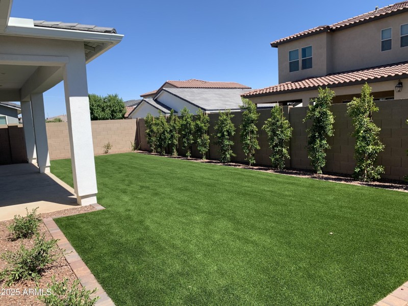 Backyard 2