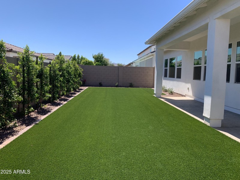 Backyard 3