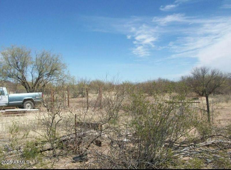 Resized_20250727_063746