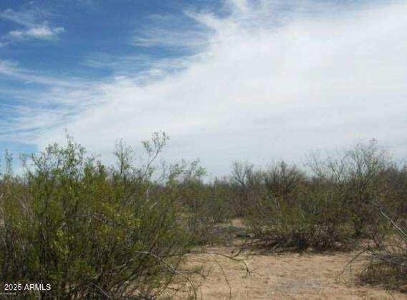 Resized_20250727_063915