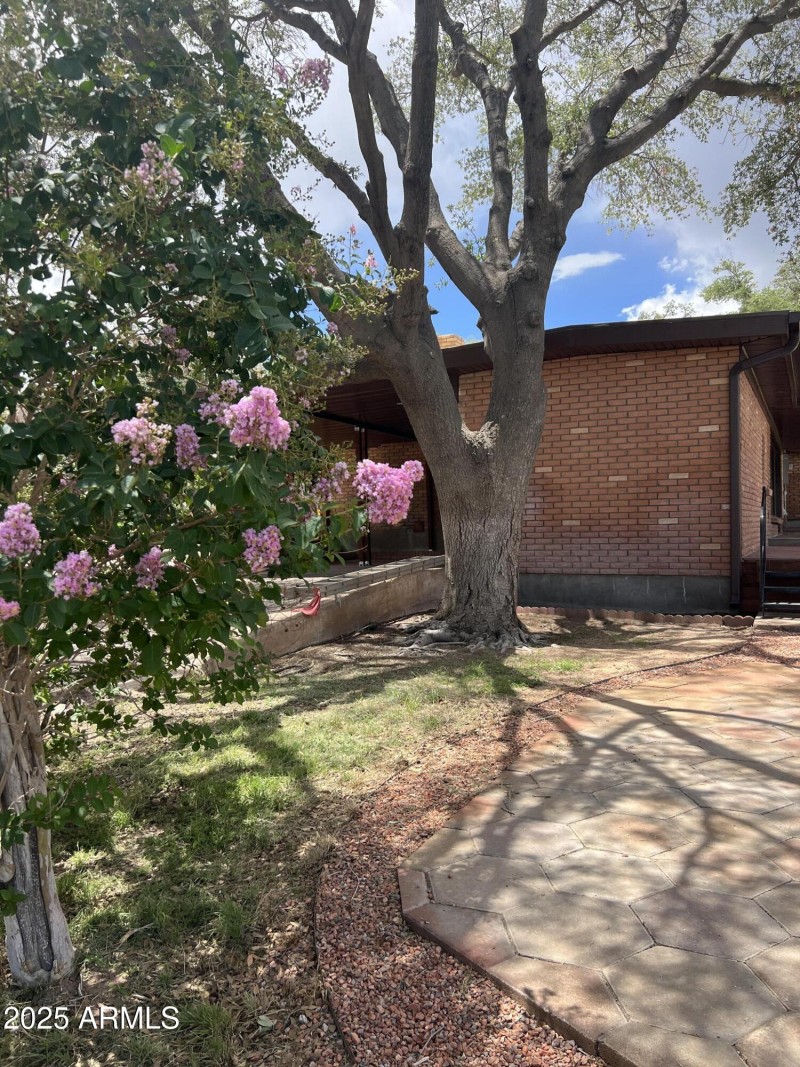 Photo Aug 02 2025, 12 30 20 PM