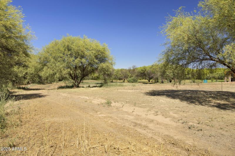 19-web-or-mls-FA9A8772