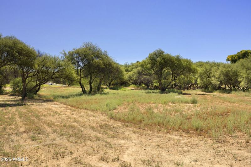 33-web-or-mls-FA9A8842