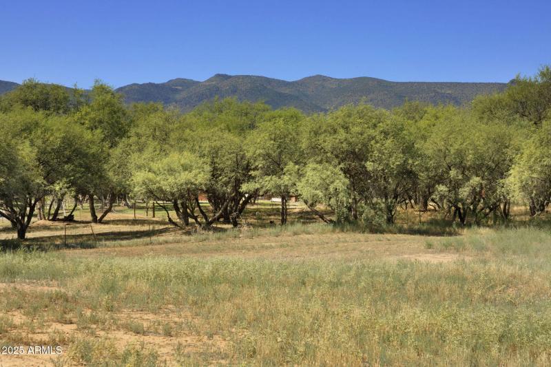 35-web-or-mls-FA9A8852