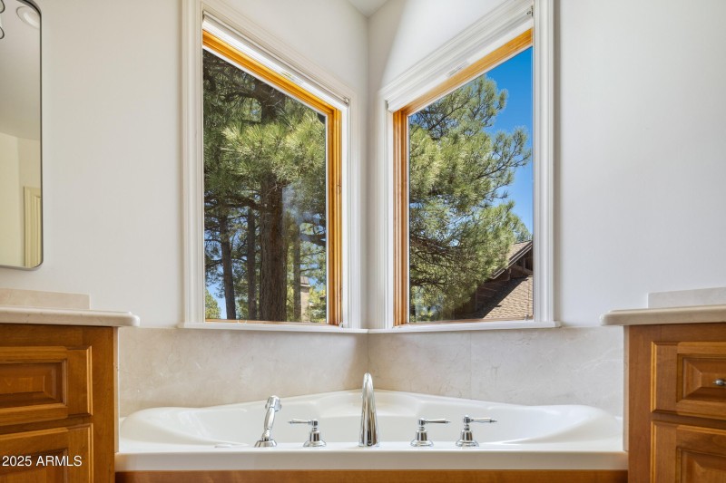 Downstairs Bathroom 1