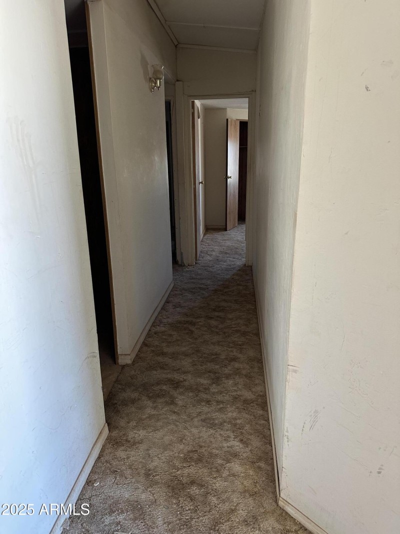 Photo Jul 31 2025, 1 40 59 PM