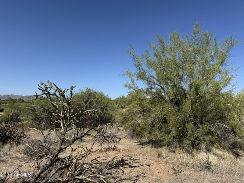 Beautiful Desert Landscape