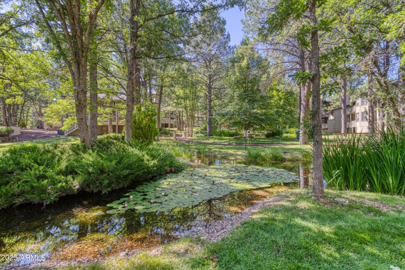 PAX_9380_AuroraHDR2019-edit