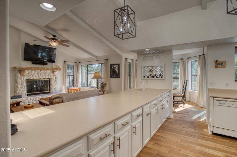 Paxmanphoto_PAX_9323