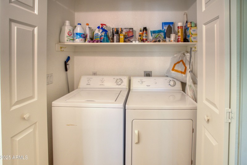 Paxmanphoto_PAX_9369